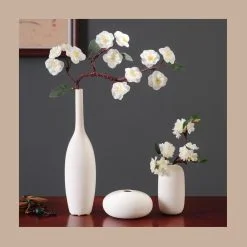 Set Bình Gốm Decor - Maccy Home Decor