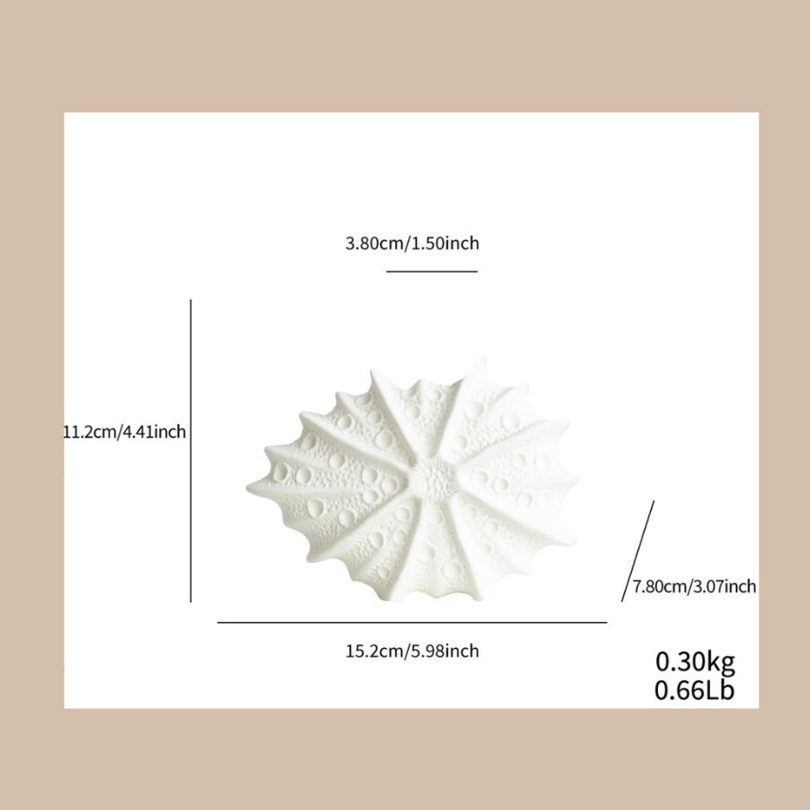 Bình Trang Trí Sao Biển 07 – Starfish Art Vase