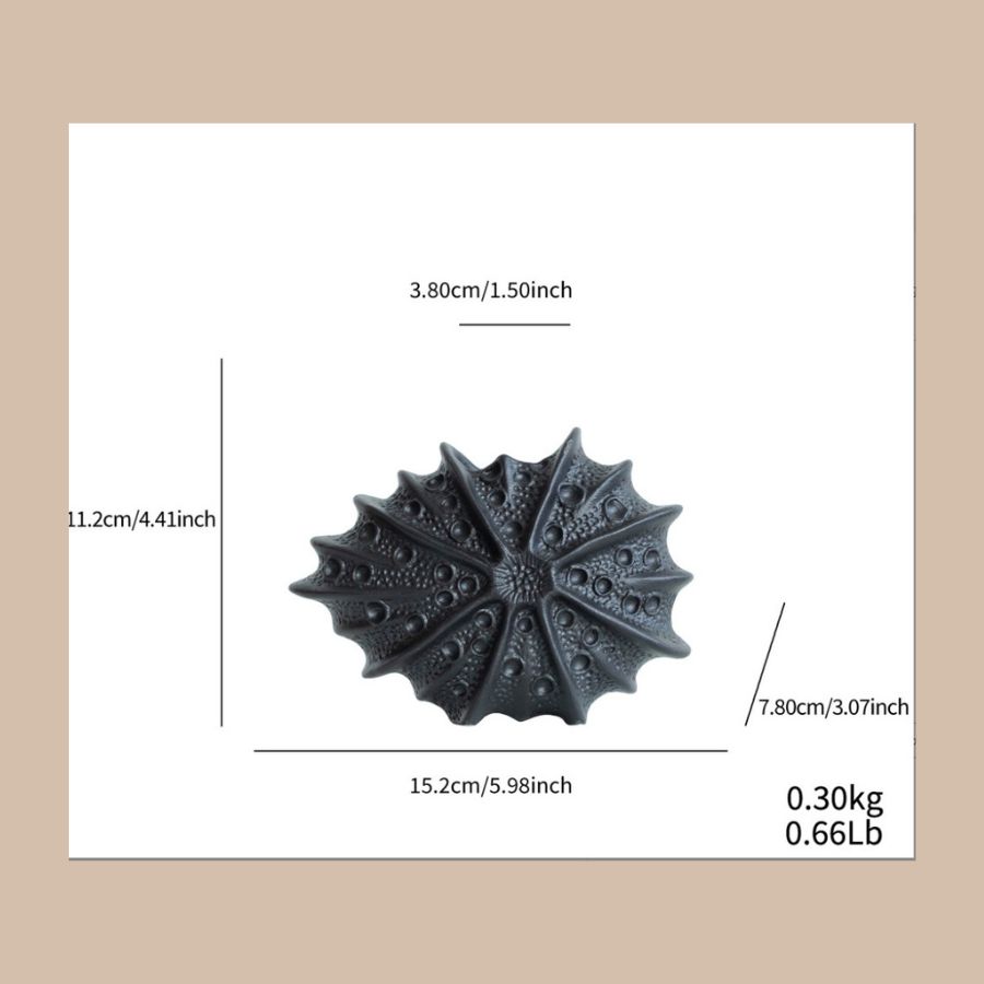 Bình Trang Trí Sao Biển 08 – Starfish Art Vase